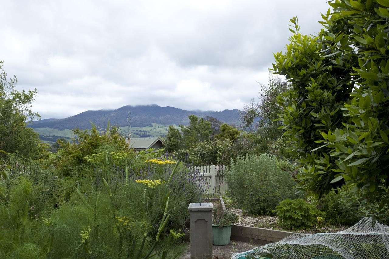 Highgate Bed And Breakfast & Garden Pirongia Dış mekan fotoğraf